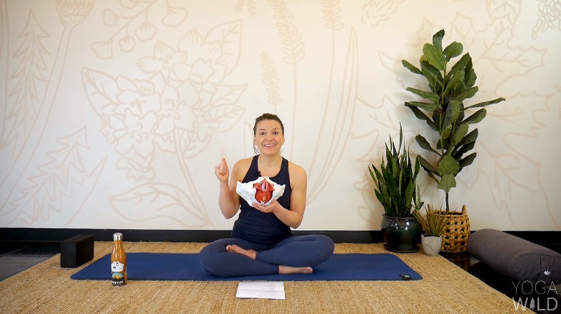 Yoga + Anatomy: A Pelvic Floor Workshop | Digital Download