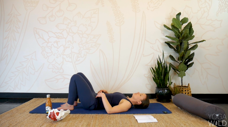 Yoga + Anatomy: A Pelvic Floor Workshop | Digital Download