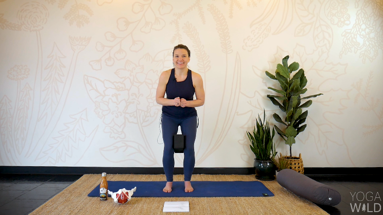 Yoga + Anatomy: A Pelvic Floor Workshop | Digital Download