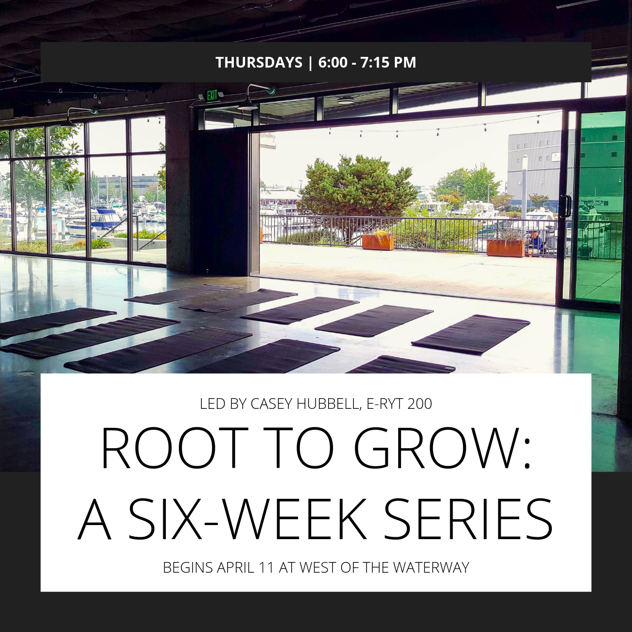 Z Root to Grow: A Six-Week Series