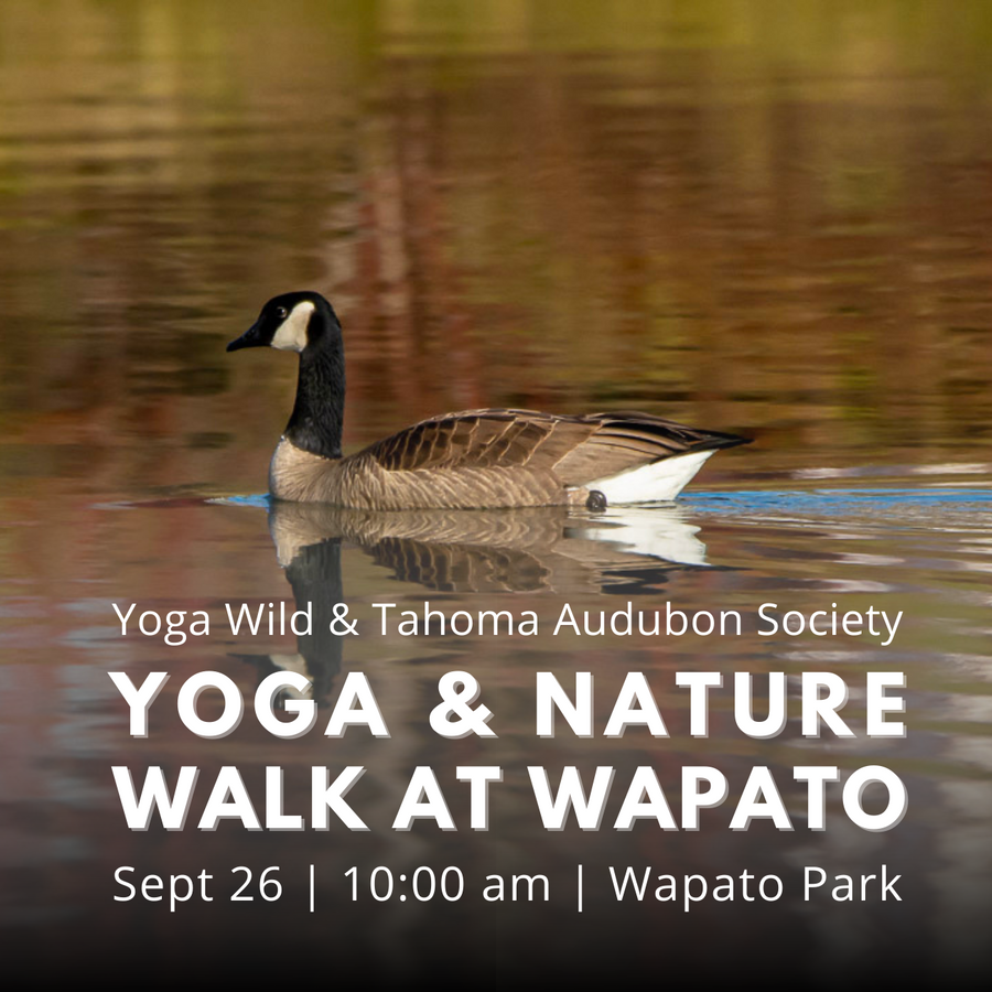9/26 Yoga & Nature Walk with Tahoma Audubon Society