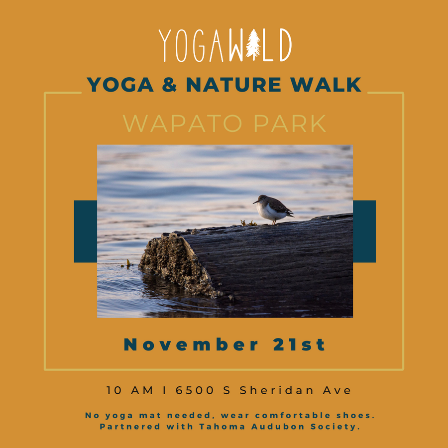 11/21 Yoga & Nature Walk with Tahoma Audubon Society