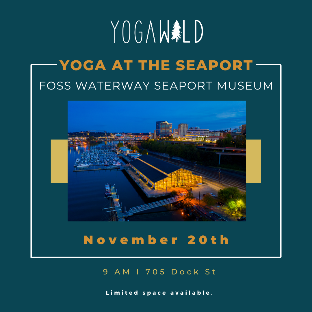 11/20 Yoga at the Seaport