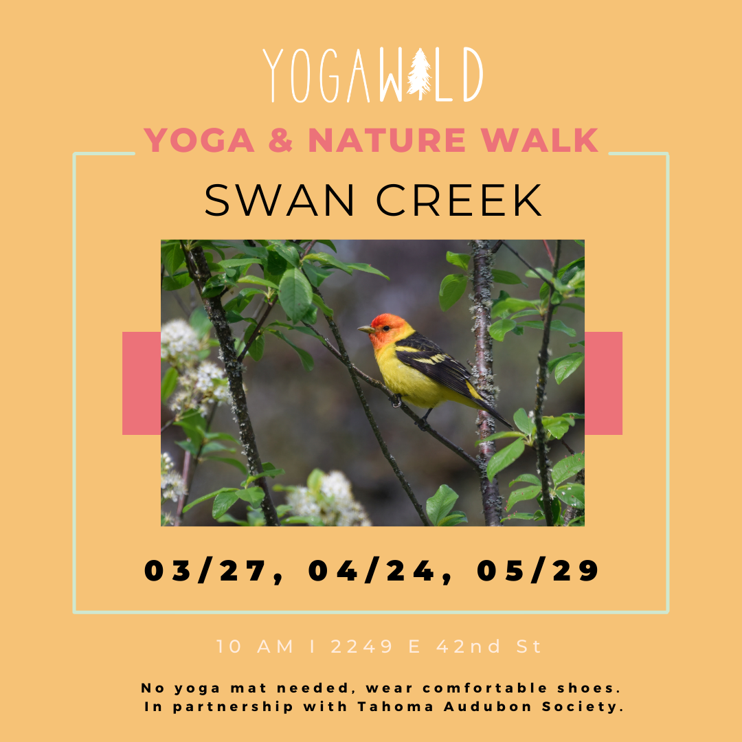 3/27 Yoga & Nature Walk with Tahoma Audubon Society
