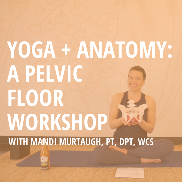 Yoga + Anatomy: A Pelvic Floor Workshop | Digital Download